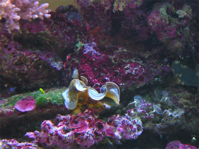 PICT0188.jpg