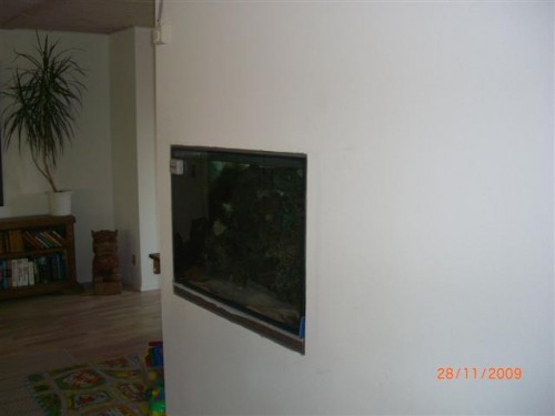 CIMG2520 (Small).JPG