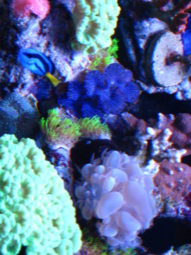 IMG_2710.JPG