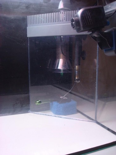 Sump