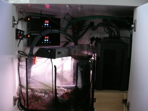 L1010752sump.jpg