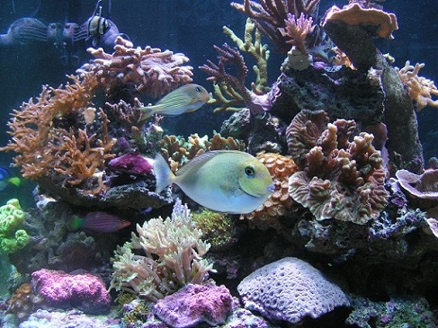 PICT0982.JPG