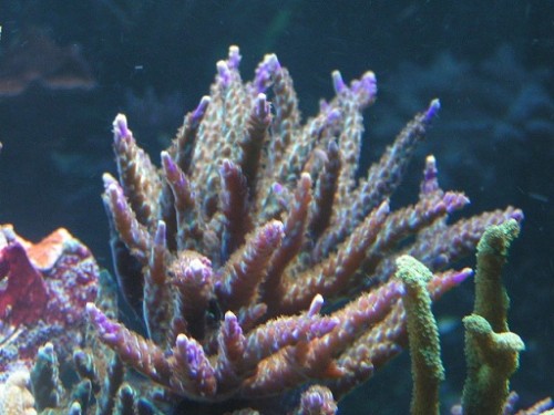 PICT1044.JPG