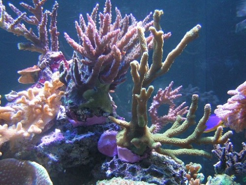 PICT1051.JPG