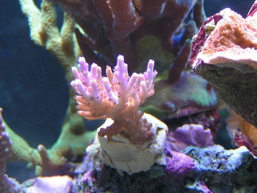 PICT1067.JPG
