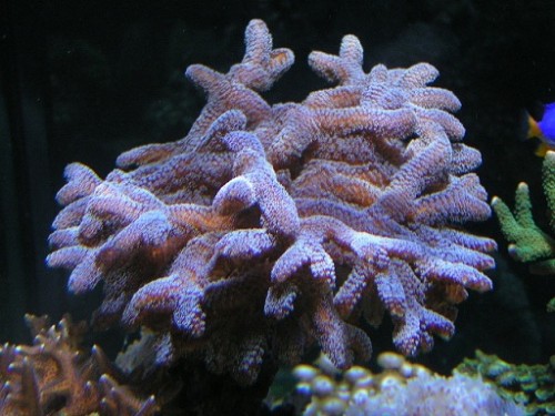 PICT1071.JPG
