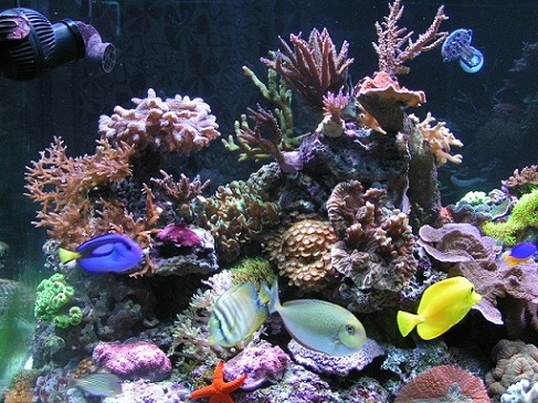 PICT1078.JPG