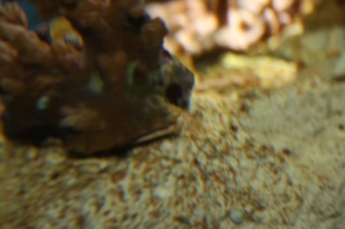 IMG_0018.jpg