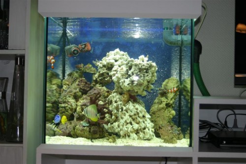 Akvarie-TV bord 1 003 (Medium).jpg