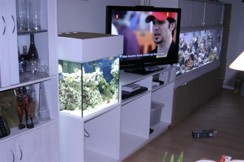 Akvarie-TV bord 1 014 (Medium).jpg