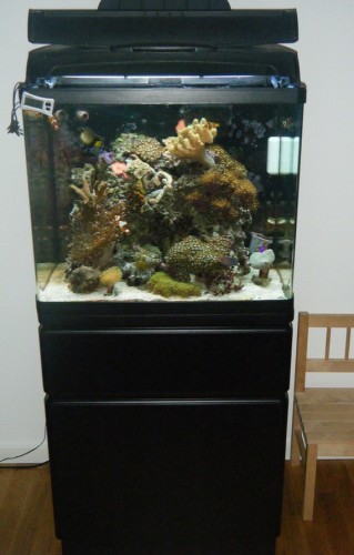 Hele akvariet