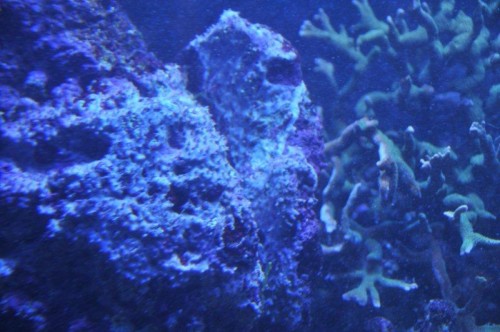 DSC_4489.JPG