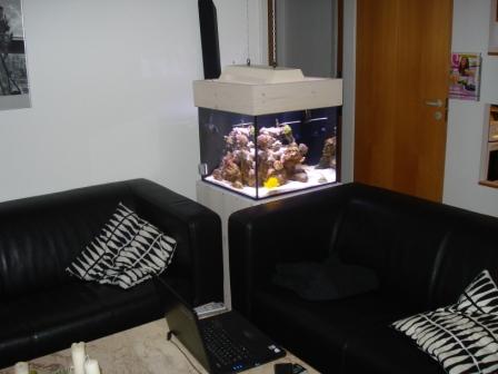 akva sofa.JPG