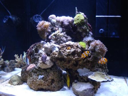 Front 4.JPG