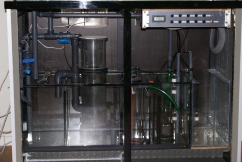 640-size-DSC05864.jpg