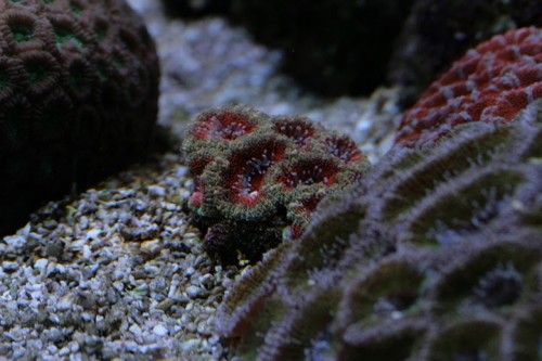 IMG_5278.JPG