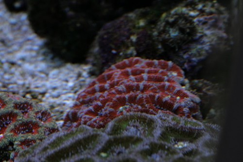 IMG_5279.JPG