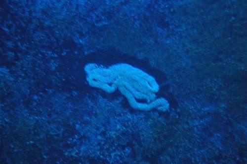 DSC_0010.JPG