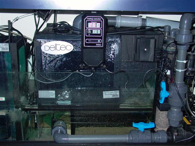 køler 002 (Small).jpg