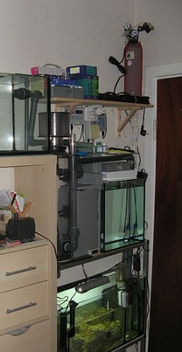 Akv291220093.jpg