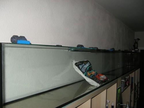 Akv291220092.jpg
