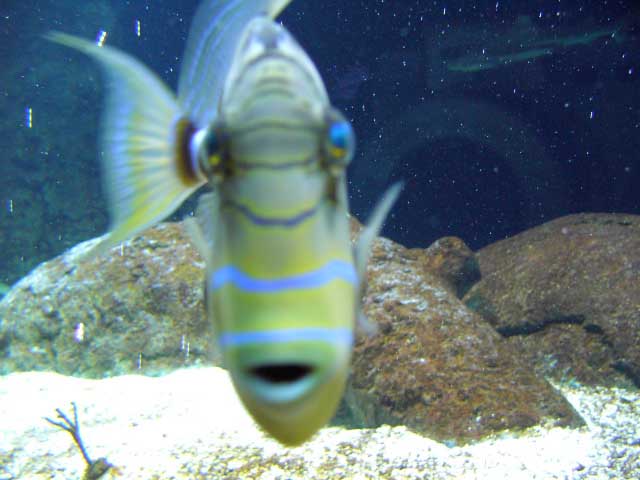 IMAG0772.jpg