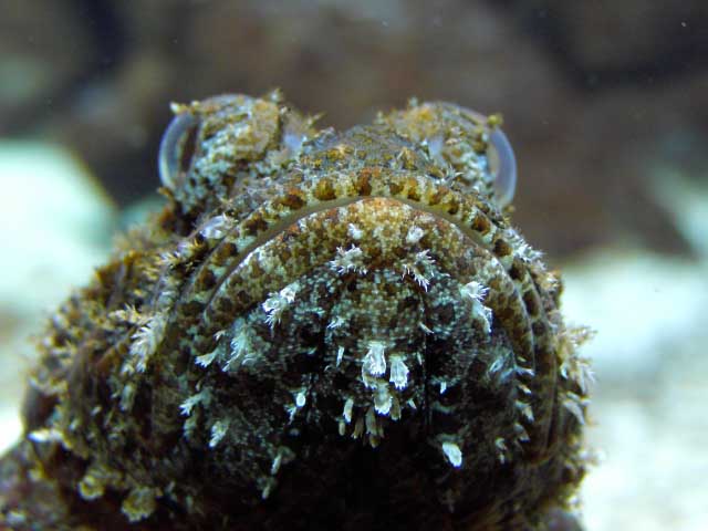 IMAG0769.jpg