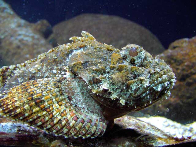IMAG0764.jpg