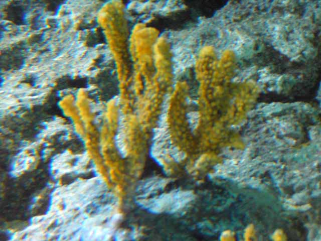 IMAG0761.jpg