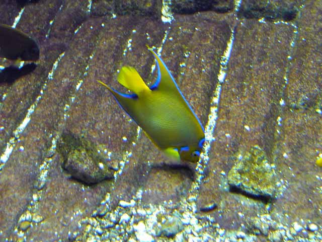 IMAG0745.jpg