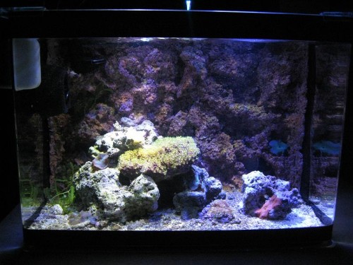 FTS 13. januar 2010