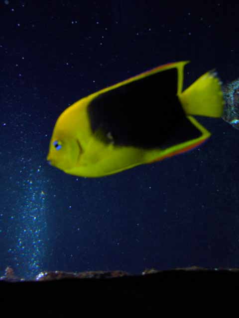 IMAG0622.jpg