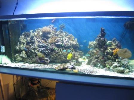 15 jan 2010 002.jpg