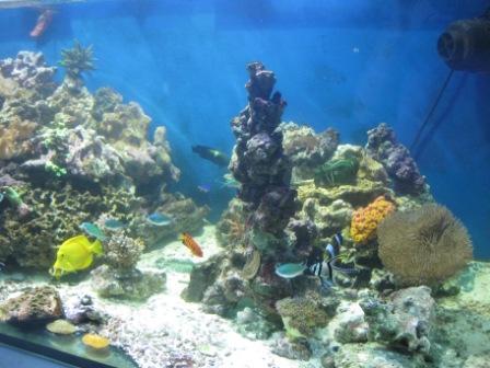 15 jan 2010 004.jpg