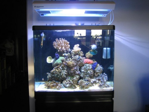 15.6.2009.jpg