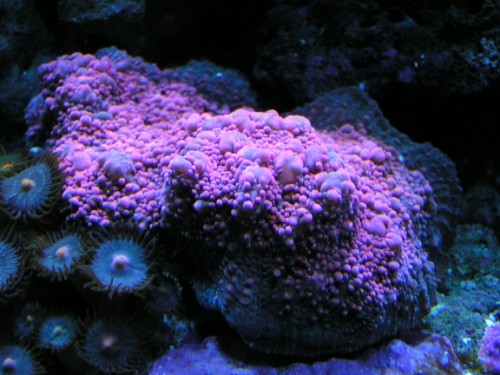 PICT1124.JPG