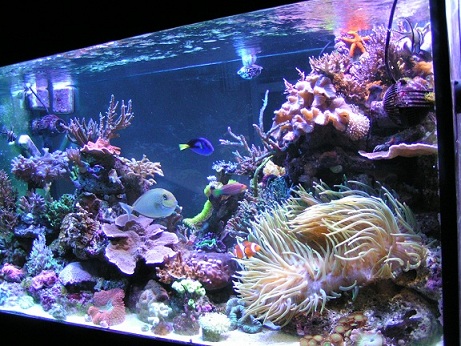 PICT1181.JPG