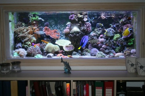 600 liters-1 (Medium).JPG