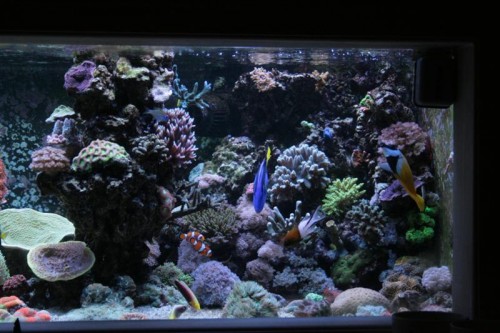 600 liters-h (Medium).JPG