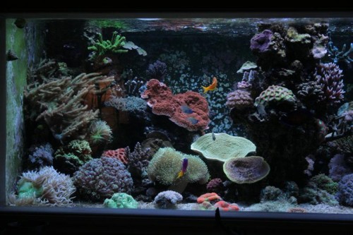 600 liters-v (Medium).JPG