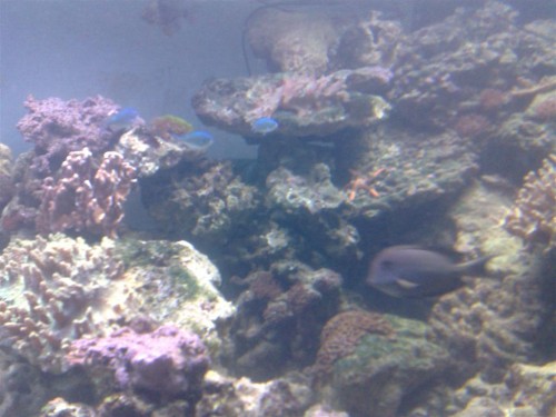190120102817.jpg