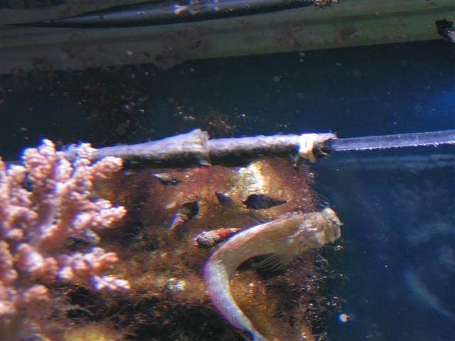 PICT0277 (Small).JPG