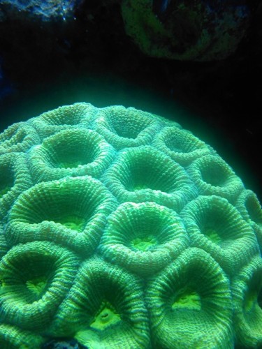IMG049.jpg
