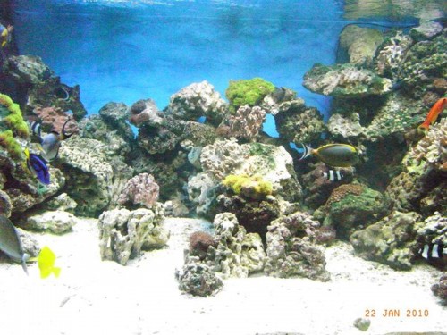 RIMG3186.JPG