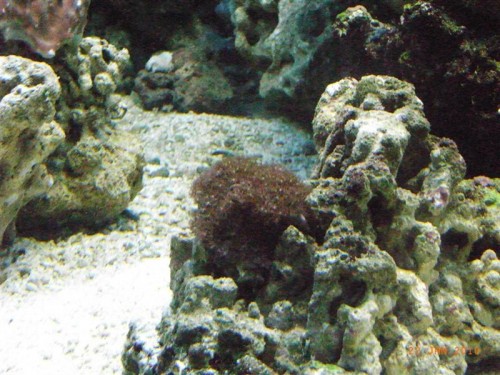 RIMG3192.JPG