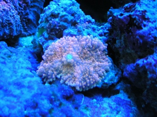 PICT1215.JPG