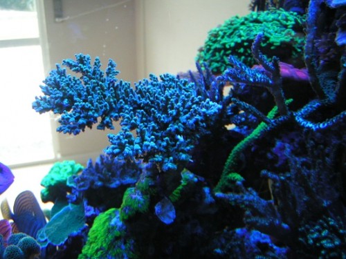 PICT1223.JPG