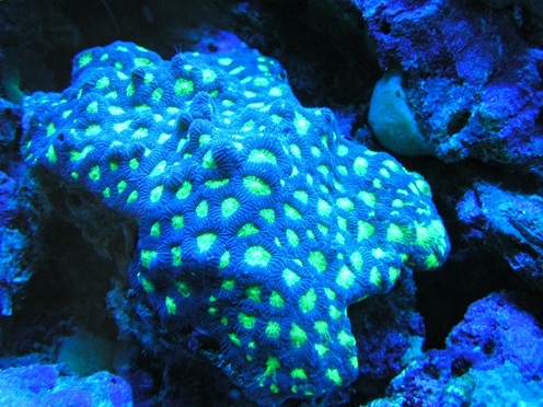 PICT1235.JPG