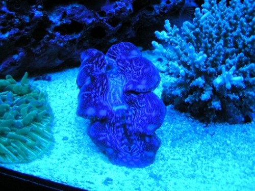 PICT1237.JPG