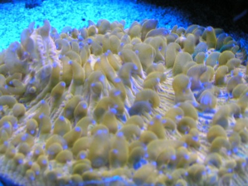 PICT1291.JPG